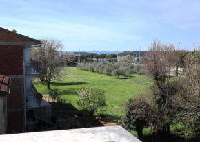 Apartman Dado